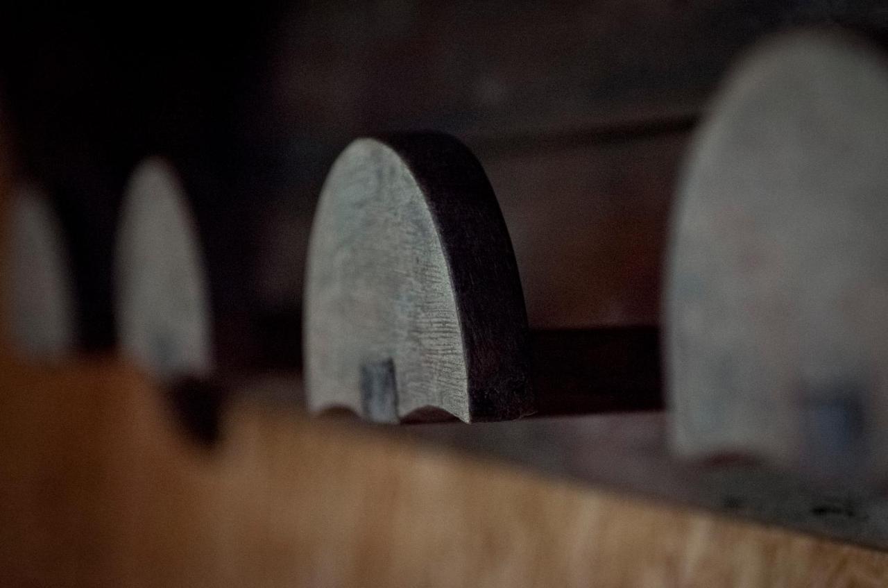 Can Congost ソート エクステリア 写真